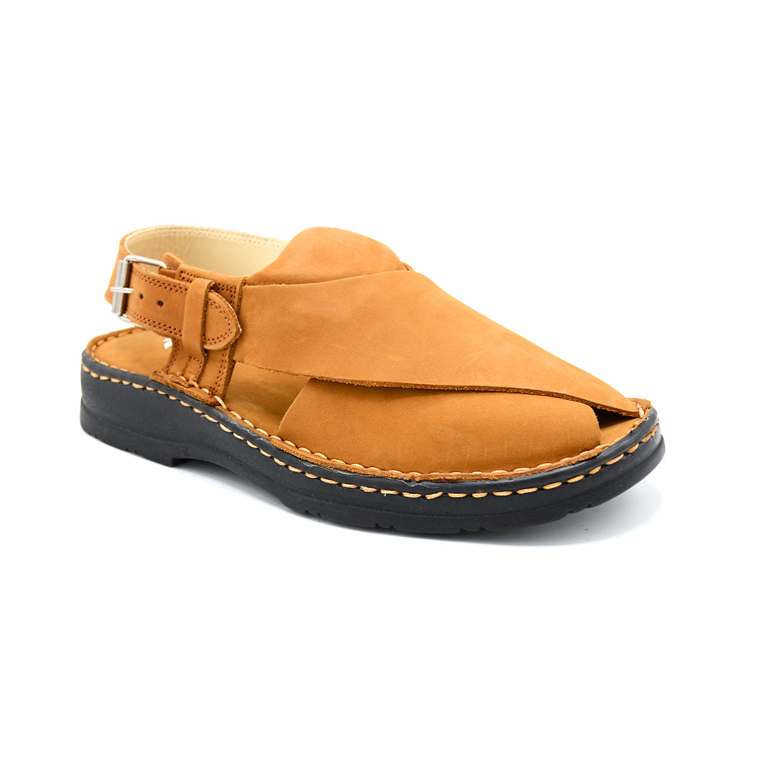 Tan Leather Closed-Toe Peshawari Chappal