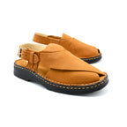 Tan Leather Closed-Toe Peshawari Chappal