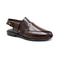 Premium Brown Peshawari for the Modern Gentleman.