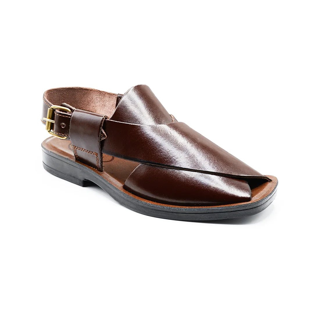 Regal Brown Peshawari