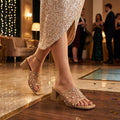 Elegant Mesh Strap Block Heel